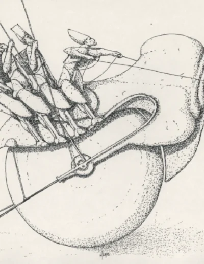 Willem Lenssinck - Irish Bull