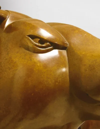 Willem Lenssinck - Bull's Heaven