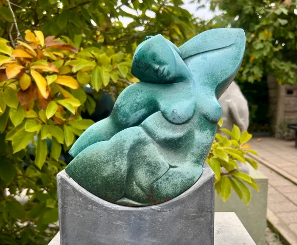 Willem Lenssinck - Jolly Jumper